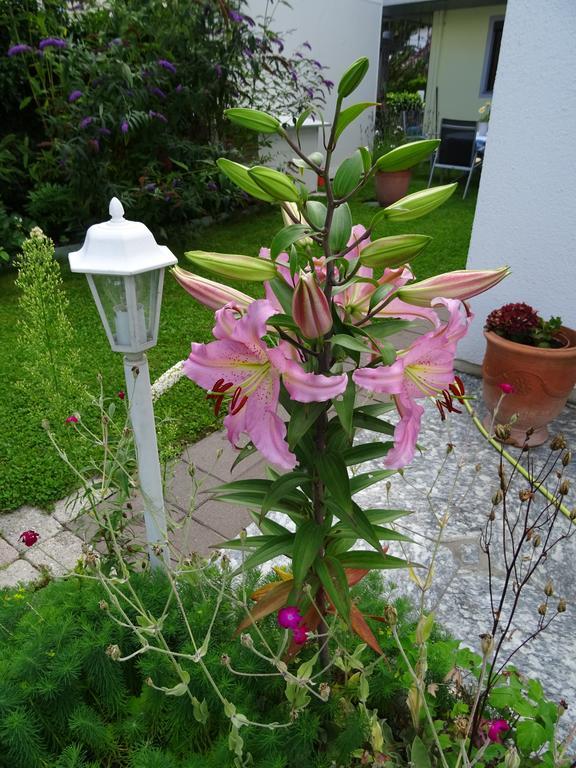 Ferienwohnung Traudl Singer Innsbruck Bagian luar foto